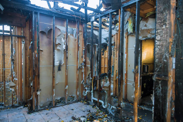 Professional Fire Damage Restoration technician working in Mono Vista, CA